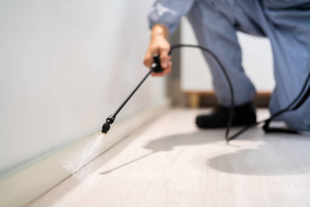 Licensed Pest Control service in Deerwood, TX - Show Me Pest Control