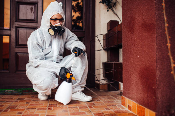 Reliable Ant Control contractor in Deerwood, TX by Show Me Pest Control